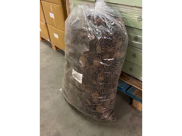 5x dennenappels, zak a 10 kilo - afbeelding 2 van  5