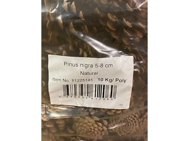 5x dennenappels, zak a 10 kilo - afbeelding 4 van  5