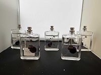 5x escentric molecules parfum - afbeelding 1 van  2