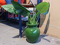 5x gekleurde vaas des pots - afbeelding 2 van  11