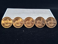 5x gouden munt, south africa, krugerrand, 1983