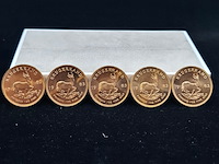 5x gouden munt, south africa, krugerrand, 1983