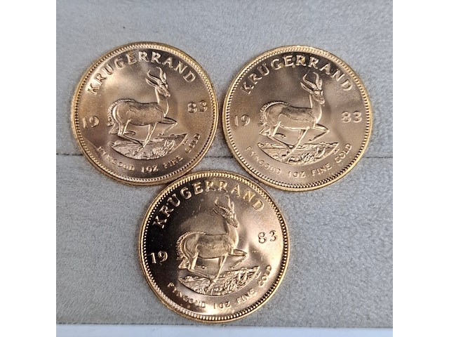 5x gouden munt, south africa, krugerrand, 1983 - afbeelding 5 van  5