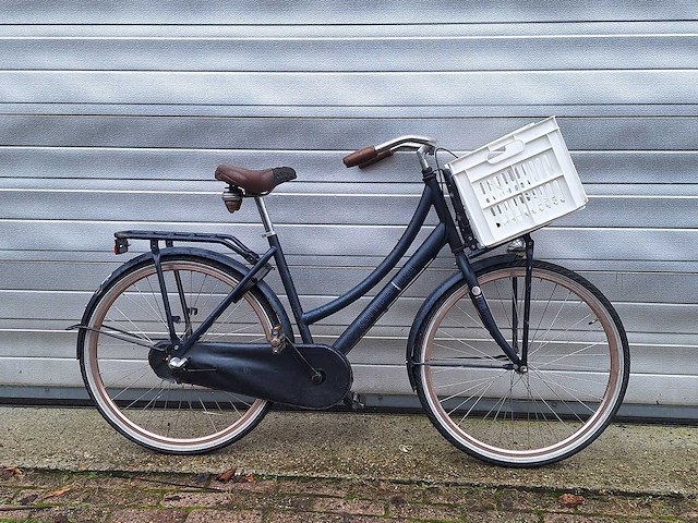 5x kinderfiets transportmodel oa cortina, alpina, transportfiets - afbeelding 2 van  12