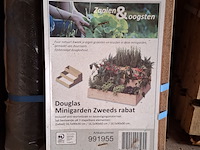 5x mini garden o.a. hillhout - afbeelding 3 van  7