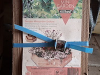 5x mini garden o.a. hillhout - afbeelding 7 van  7