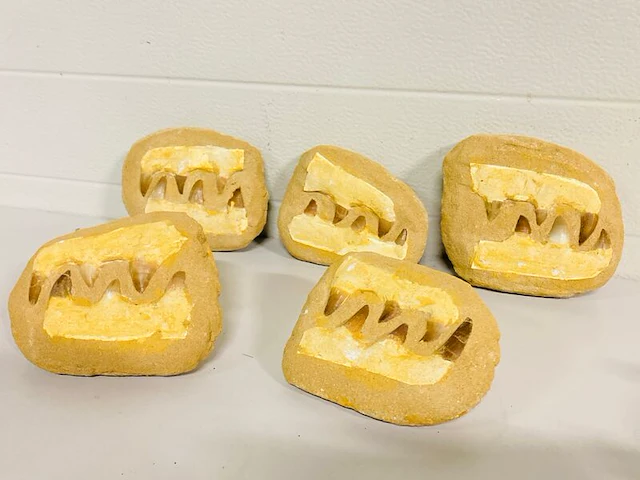 5x mosasaurus fossielen - afbeelding 2 van  8