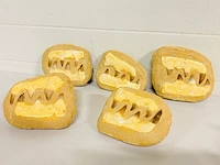 5x mosasaurus fossielen - afbeelding 2 van  8