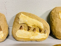 5x mosasaurus fossielen - afbeelding 4 van  8