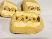 5x mosasaurus fossielen - afbeelding 7 van  8