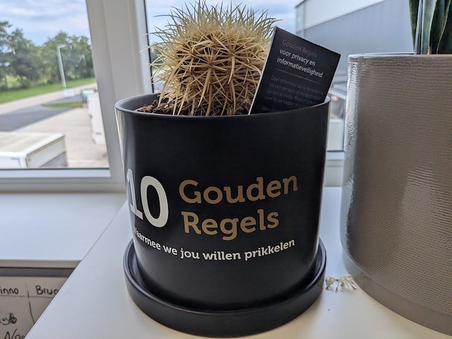 5x plant in pot - afbeelding 4 van  4