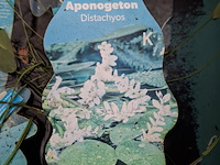 5x quarantainebak - afbeelding 2 van  17