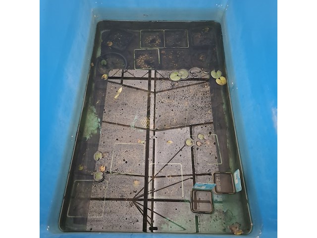 5x quarantainebak - afbeelding 9 van  17