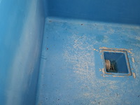 5x quarantainebak - afbeelding 12 van  17