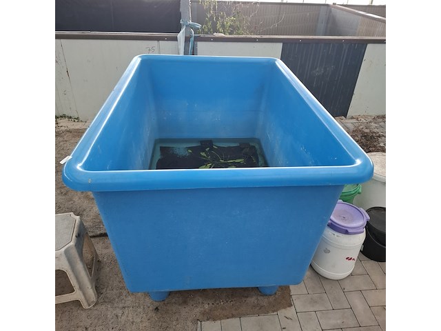 5x quarantainebak - afbeelding 14 van  17