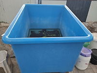 5x quarantainebak - afbeelding 14 van  17