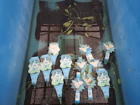 5x quarantainebak - afbeelding 17 van  17