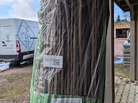 5x rol wilgenteenmat - afbeelding 2 van  5