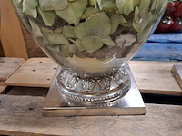 5x vaas des pots rofra home - afbeelding 3 van  12