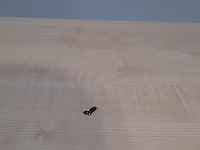 5x verrijdbare vergadertafel - afbeelding 4 van  8