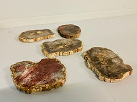 5x versteend hout plakken - afbeelding 1 van  7