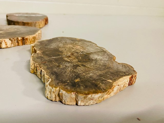 5x versteend hout plakken - afbeelding 2 van  7