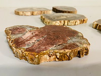 5x versteend hout plakken - afbeelding 3 van  7