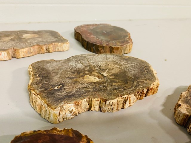 5x versteend hout plakken - afbeelding 4 van  7