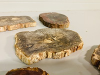 5x versteend hout plakken - afbeelding 4 van  7