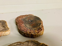 5x versteend hout plakken - afbeelding 5 van  7