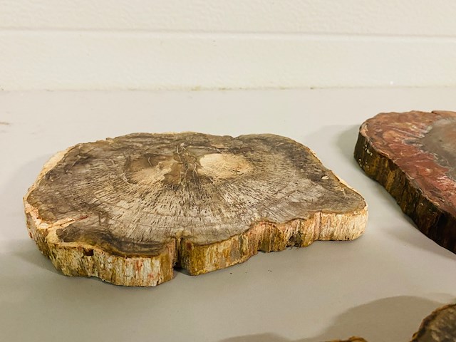 5x versteend hout plakken - afbeelding 6 van  7