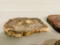 5x versteend hout plakken - afbeelding 6 van  7