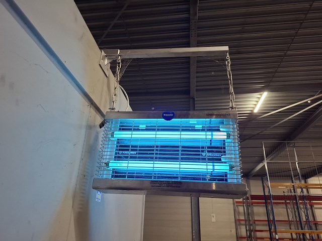 5x vliegenlamp genus, anticimex fliled - afbeelding 6 van  10