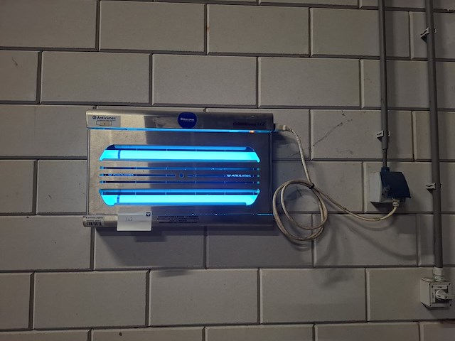 5x vliegenlamp genus, anticimex fliled - afbeelding 10 van  10