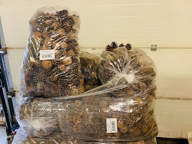 5x zak a 10 kilo dennenappels - afbeelding 1 van  7