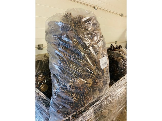 5x zak a 10 kilo dennenappels - afbeelding 4 van  7