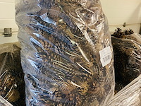 5x zak a 10 kilo dennenappels - afbeelding 4 van  7