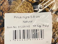 5x zak a 10 kilo dennenappels - afbeelding 5 van  7