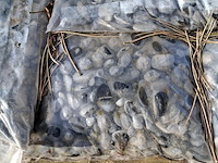 5x zak natuursteen a 20 kg - afbeelding 3 van  4