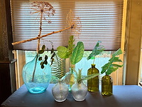 6-delige set glazen vazen - afbeelding 1 van  5