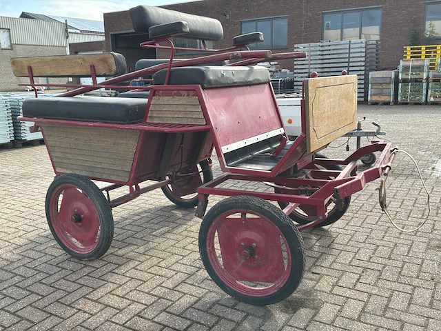 6 persoons geremde menwagen - afbeelding 18 van  20
