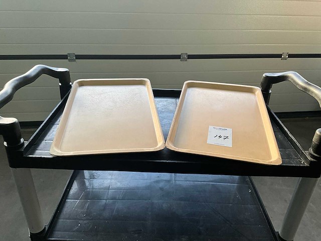 60/40 dienbladen (105x) - afbeelding 2 van  4