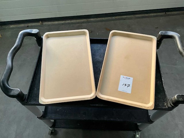 60/40 dienbladen (105x) - afbeelding 3 van  4