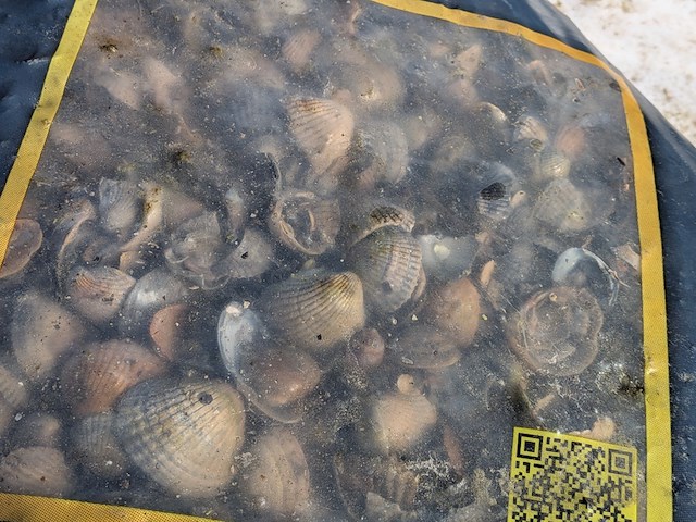 60x zak schelpen a 17 liter gardenlux - afbeelding 5 van  6