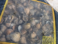 60x zak schelpen a 17 liter gardenlux - afbeelding 5 van  6