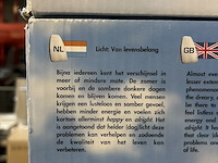 6x daglicht lamp - afbeelding 4 van  4