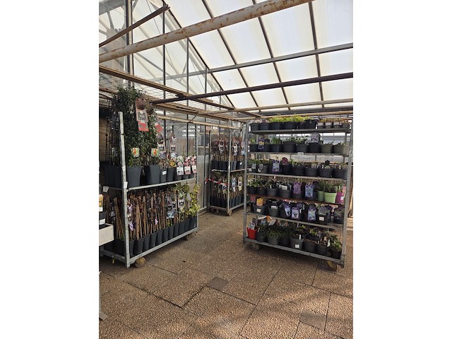 6x deense kar - afbeelding 1 van  5