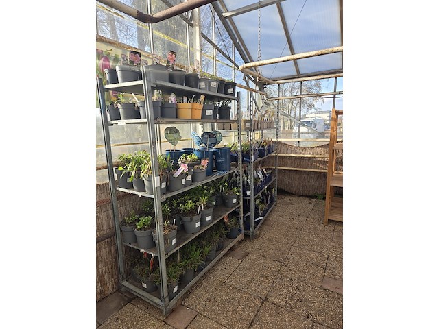 6x deense kar - afbeelding 2 van  5