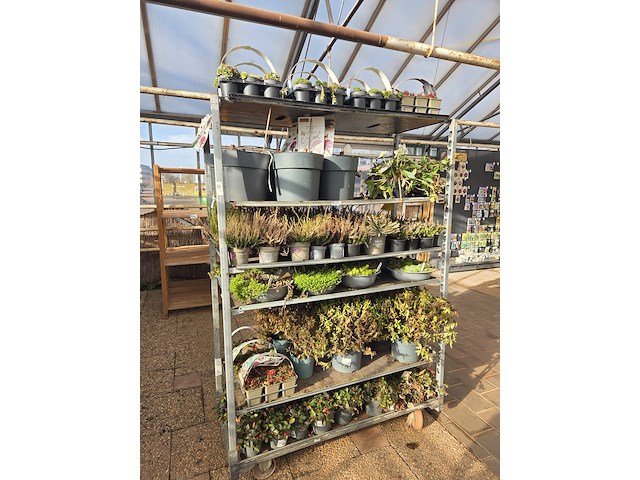 6x deense kar - afbeelding 3 van  5