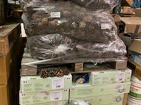 6x dennenappels, zak a 10 kilo